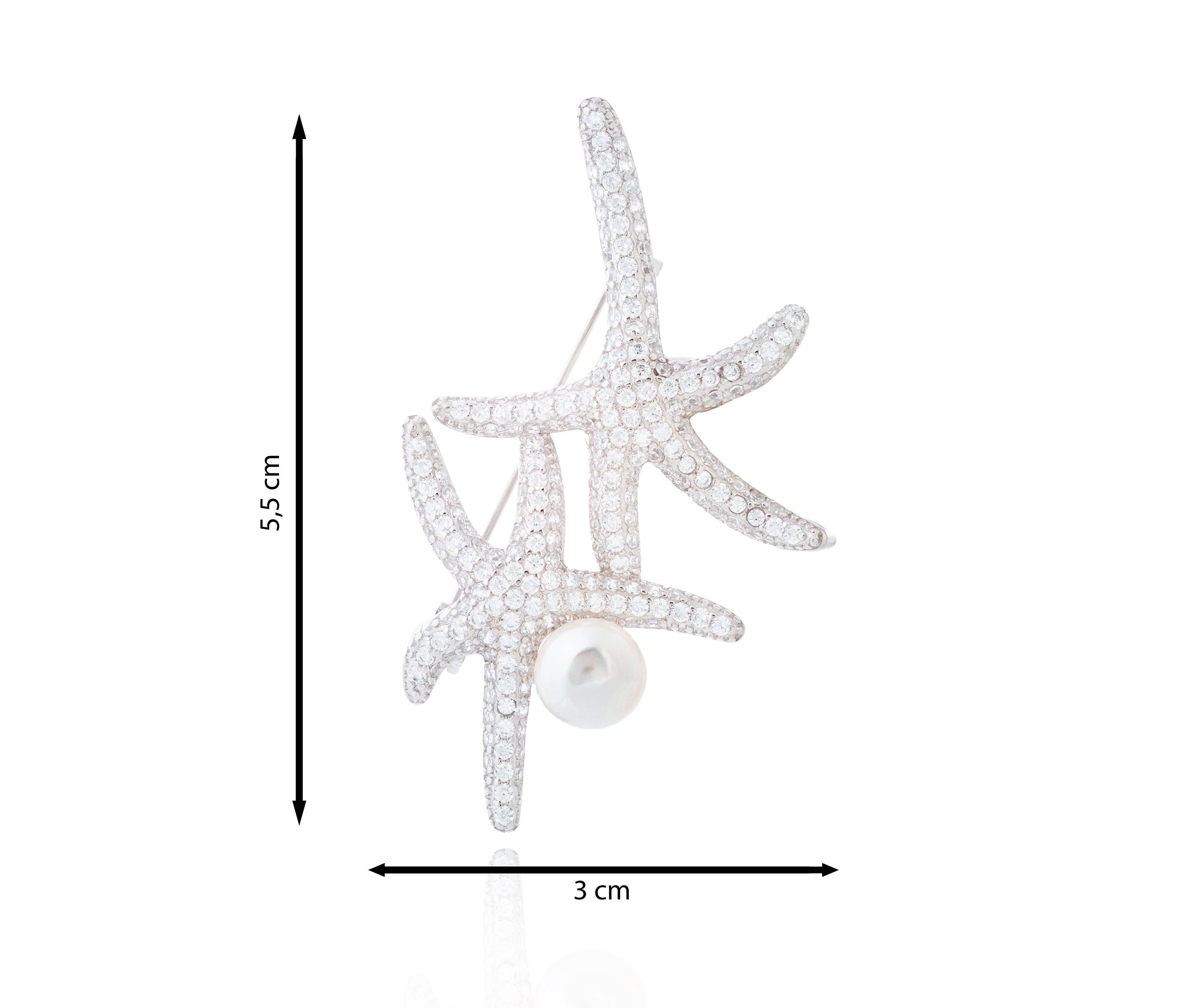 Coral Path Silver