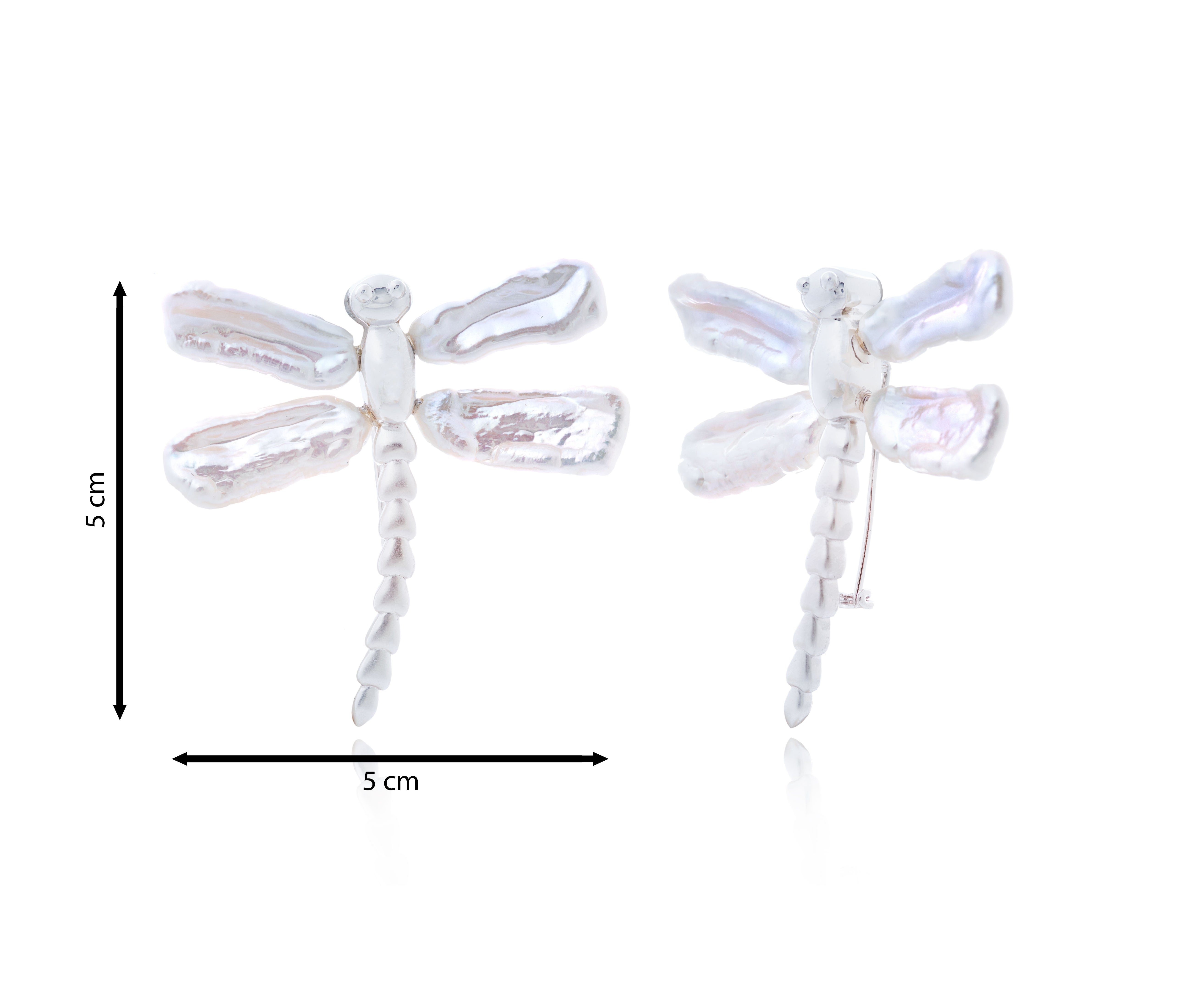 Dragonfly Light